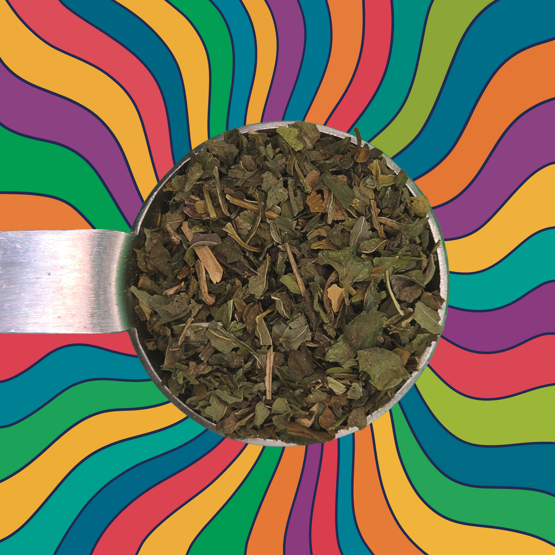 Naugh-Tea Brews Herbal Teas Peppermint 1