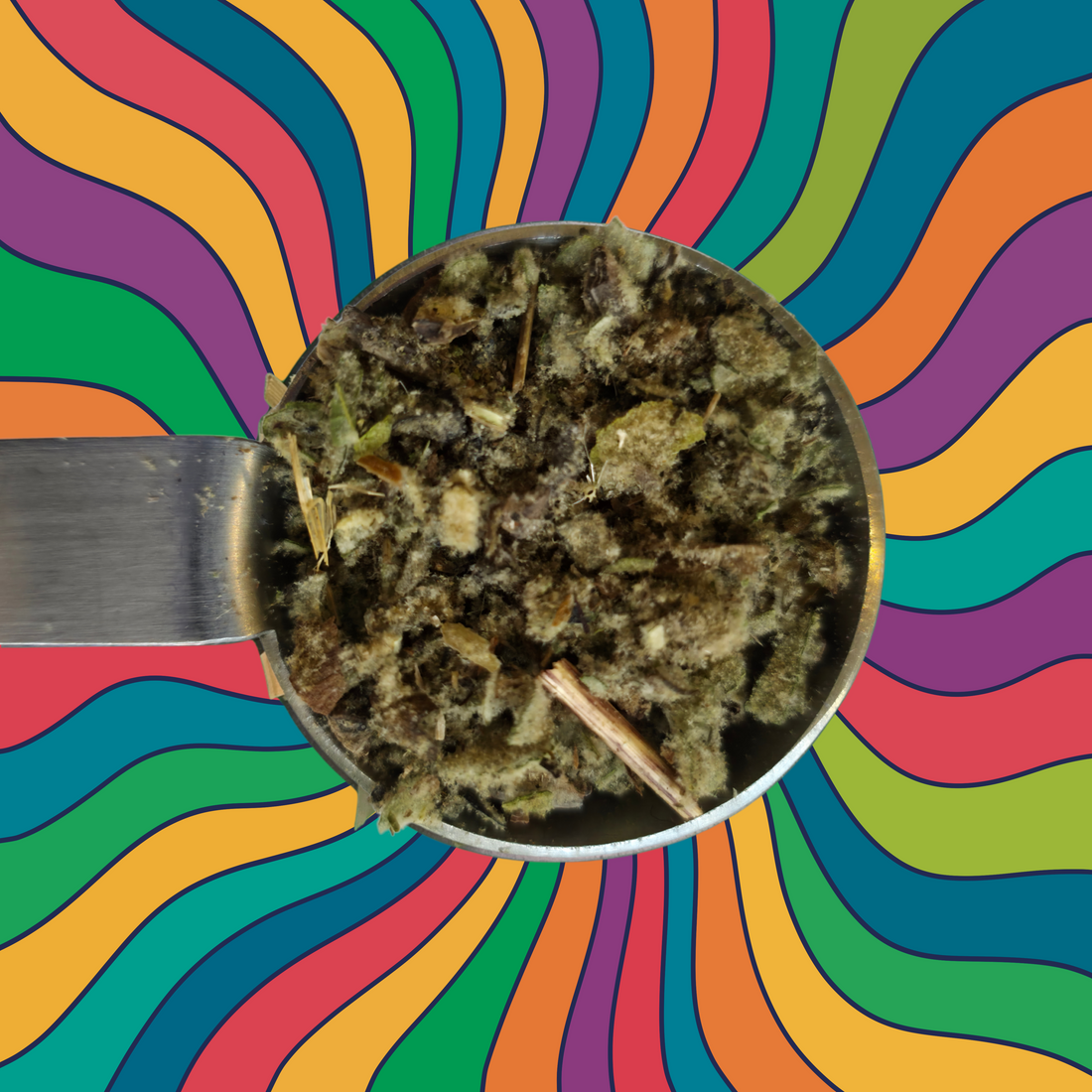 Naugh-Tea Brews Mullein Herbal Tea 1